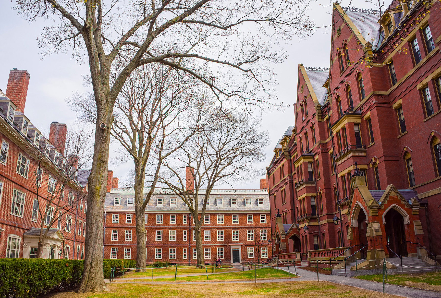 Dormitories and Harvard Computer Society in Harvard Yard